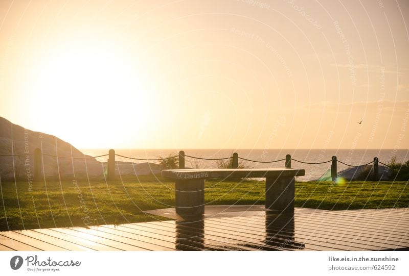 Honey, are we going to sit down there? Senses Relaxation Calm Meditation Vacation & Travel Trip Far-off places Freedom Summer Summer vacation Beach Ocean