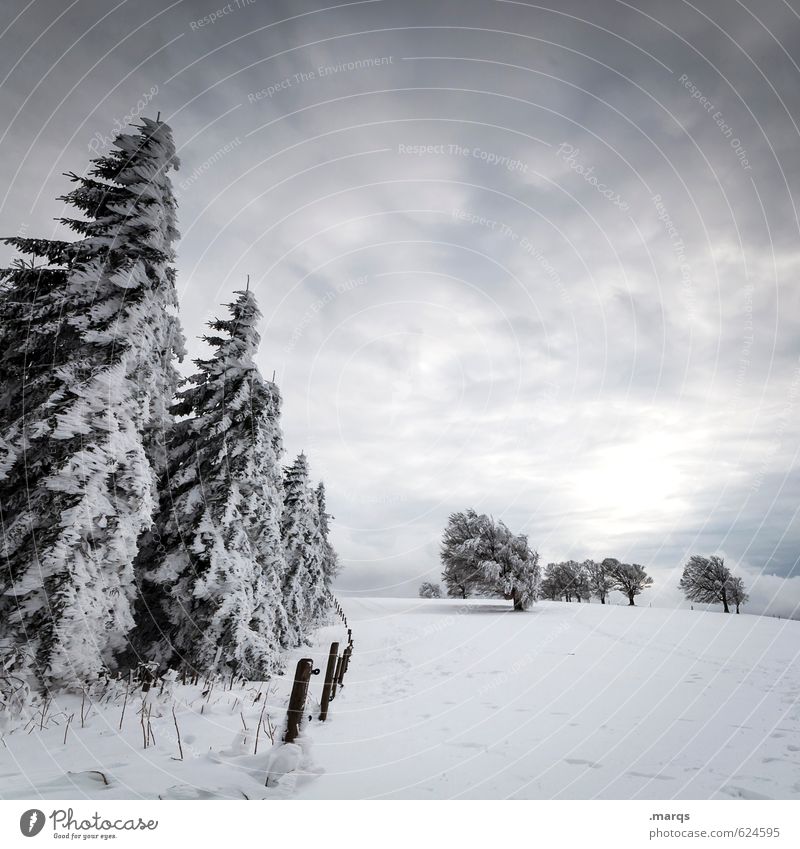 flow resistance coefficient Adventure Winter Snow Nature Landscape Sky Clouds Sun Weather Cold Moody Perspective Converse Colour photo Subdued colour