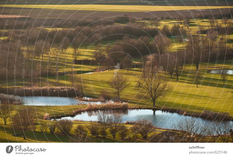 golfer Environment Nature Landscape Plant Winter Beautiful weather Tree Grass Bushes Park Meadow Forest Pond Lake Esthetic Golf Golfer Golf course Confine Field