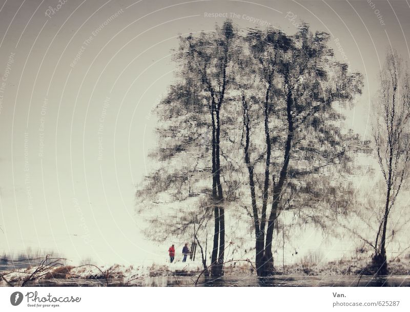 aquatic plants Human being 2 Nature Water Cloudless sky Plant Tree Waves River bank Dark Cold Small Colour photo Subdued colour Exterior shot Copy Space left