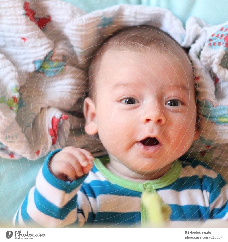 Baby looks into the camera Head Mouth 1 Human being 0 - 12 months Lie To talk Happiness Small Child pretty Kick about Funny Colour photo Interior shot Day