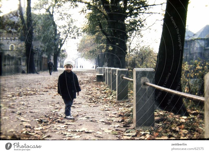 Very early IV Child Autumn Leaf Small Town Sunday Sixties Boy (child) Handrail To go for a walk old photo