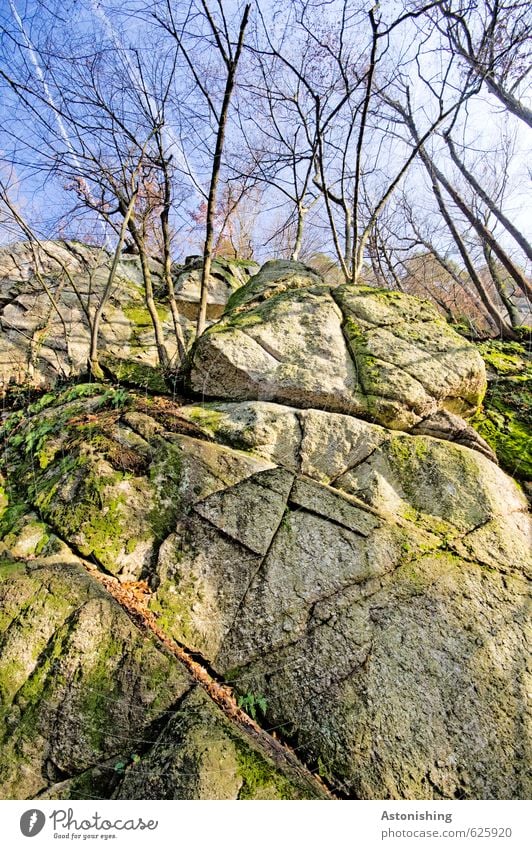 the rock face Environment Nature Landscape Plant Air Sky Clouds Autumn Weather Beautiful weather Tree Moss Leaf Forest Rock Stone Stand Large Tall Blue Gray