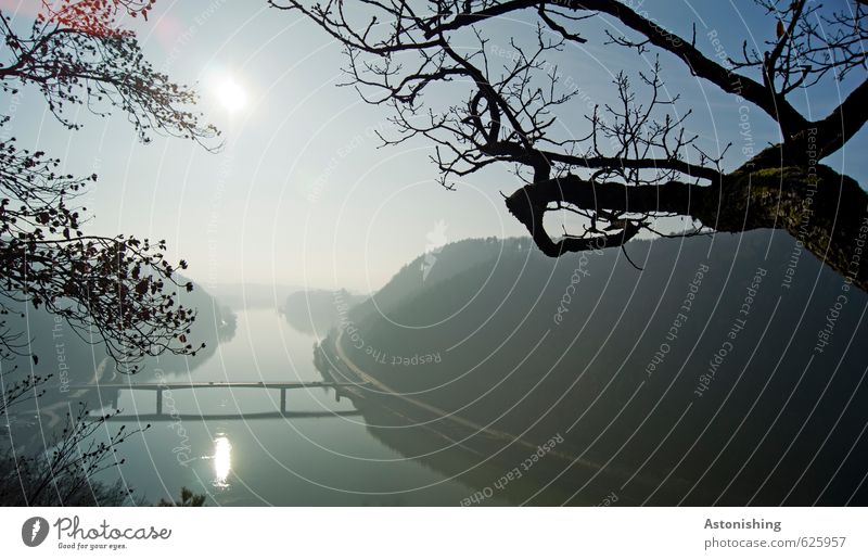 Danube Environment Nature Landscape Plant Air Water Sky Cloudless sky Horizon Sun Sunrise Sunset Autumn Weather Beautiful weather Tree Forest Hill River bank