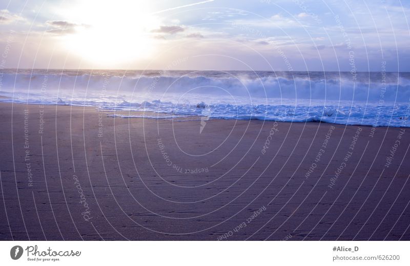 tidal wave Nature Landscape Elements Sand Water Sky Clouds Horizon Sunrise Sunset Sunlight Summer Beautiful weather Waves Coast Beach Ocean Atlantic Ocean