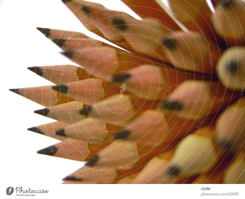 Super lead 2 Pen Pencil Graphite Typography Lead Black Gray Wood Zoom effect Point Write Characters Nature Macro (Extreme close-up) Close-up