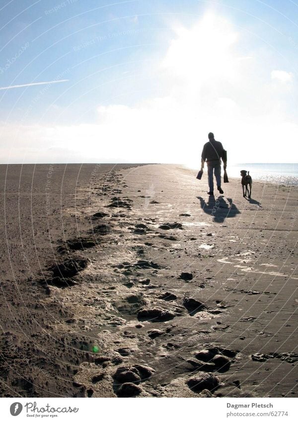 beach run Freedom Sun Beach Ocean Sand Water Coast North Sea Dog Walking Together Blue Brown Gold Mud flats Exterior shot Light Shadow Reflection