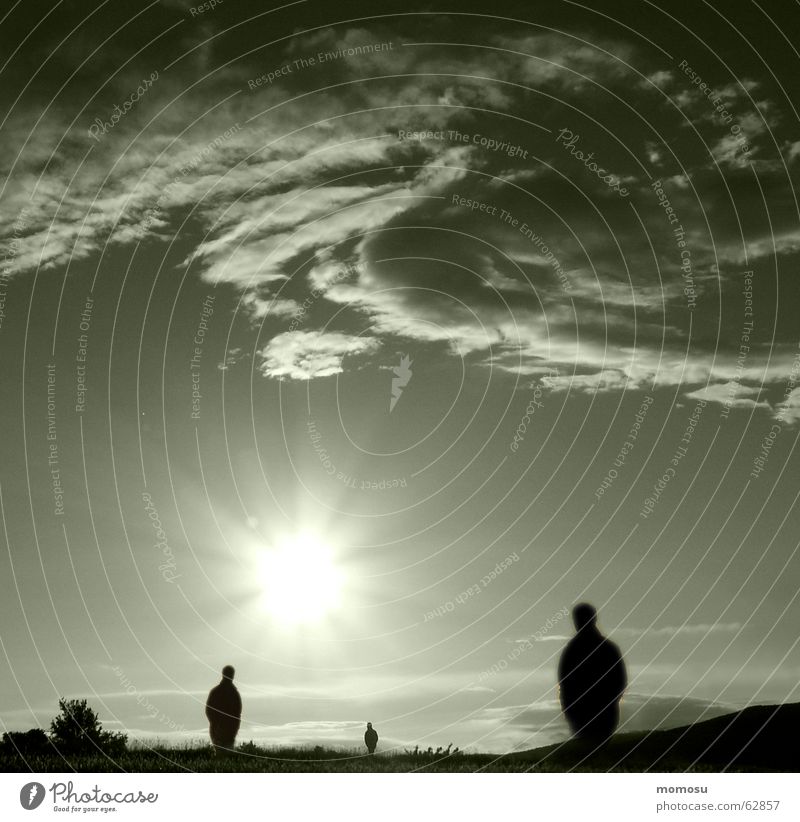 standstill Man Meadow Field Clouds Sunset Evening sun Back-light Sky Lighting