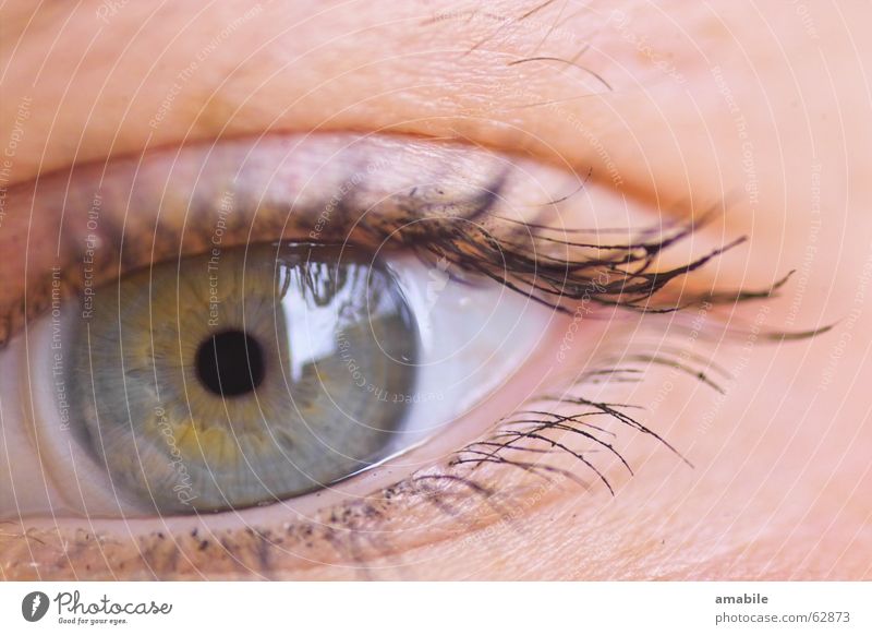 longing Eyelash Contact lense Reflection Skin color Eyes Looking Iris Human being Colour Blue Macro (Extreme close-up) Pupil Looking into the camera Detail