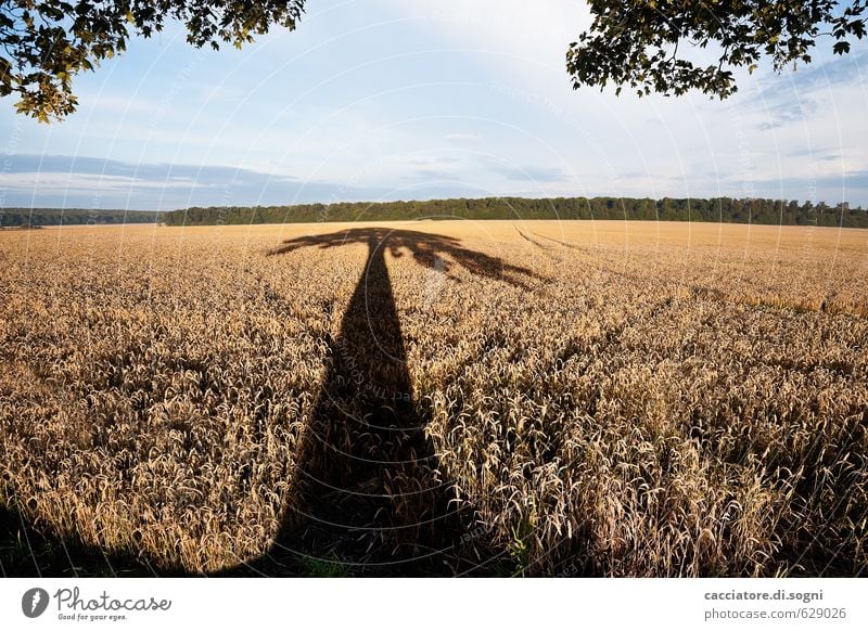 very early in the morning Nature Landscape Plant Sky Horizon Summer Beautiful weather Tree Field Forest Gigantic Infinity Long Natural Blue Orange Black Calm