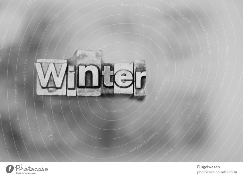 December, January and February Environment Nature Landscape Winter Climate Climate change Weather Beautiful weather Bad weather Snow Snowfall Winter vacation