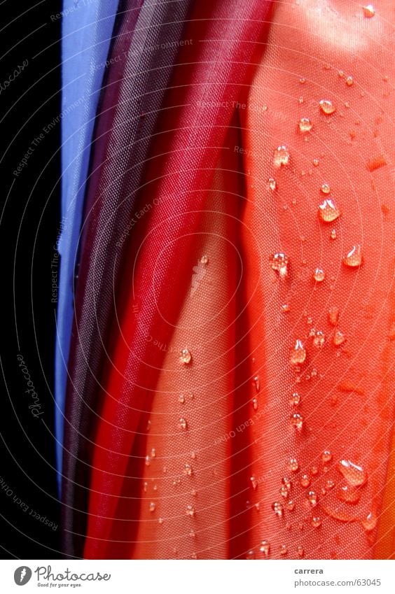 umbrella Umbrella Red Wet Multicoloured Rain Cloth Textiles Rainproof Watertight Autumn Weather All-weather Damp Macro (Extreme close-up) Close-up Orange