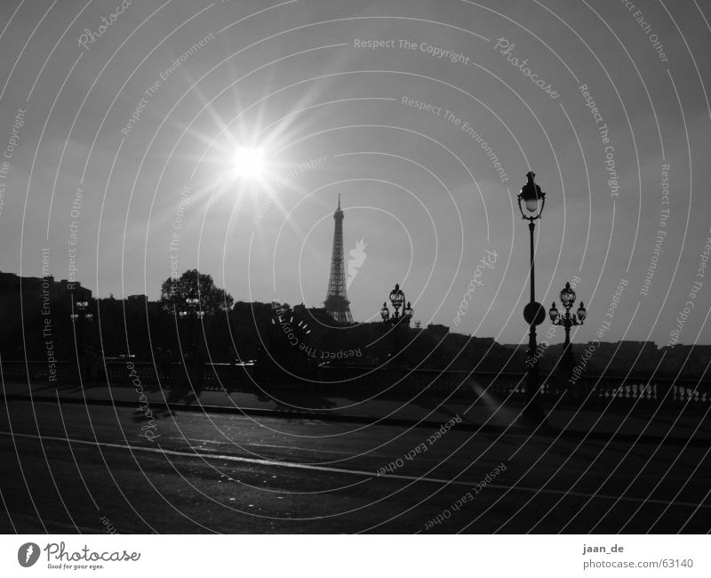 Paris, Paris ... Eiffel Tower Iron Steel Europe France Town Light Dream Street lighting Lantern Lamp Vantage point Back-light Exterior shot Sun Shadow