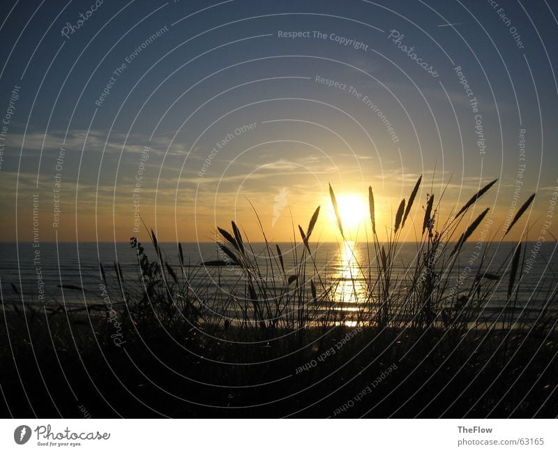 Evening at the sea Dark Beach Grass Ocean Clouds Sunset Waves Sylt Black Green Water Sky Wind Blue