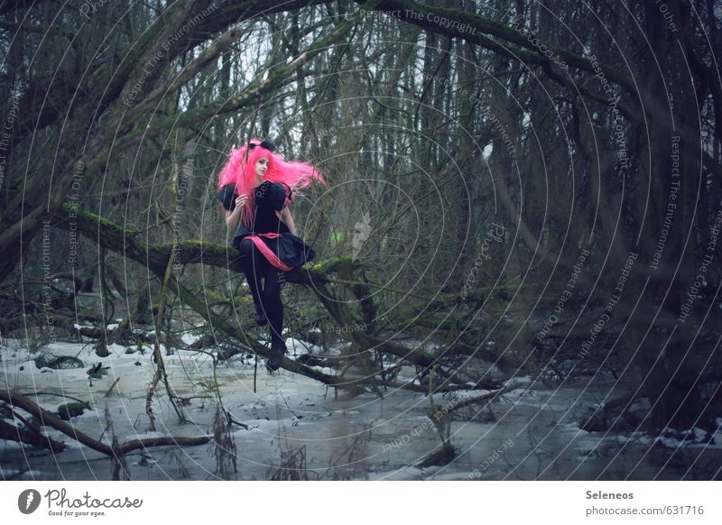 pink bow Hair and hairstyles Human being Feminine Woman Adults 1 Environment Nature Landscape Winter Ice Frost Tree Forest Bog Clothing Long-haired Wig Dark