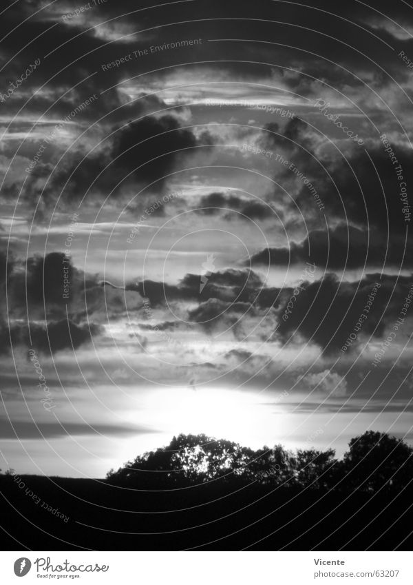 event horizon Sunset Clouds Stratocumulus Twilight Black White Gray Monochrome Tree Bushes Horizon Loneliness Deserted Light Dark Night Black & white photo Sky