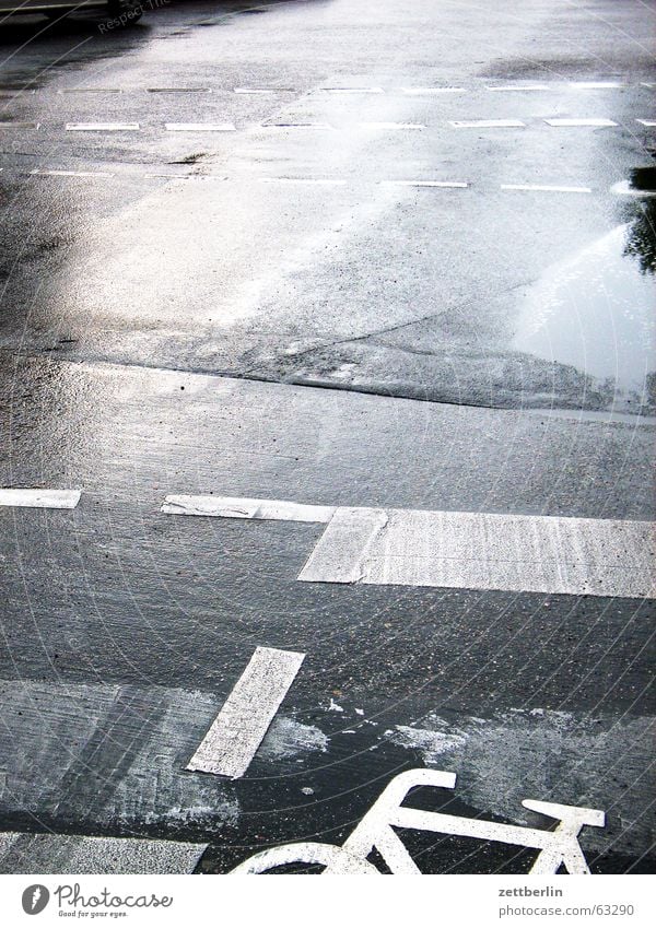 HOME WAY Puddle Bicycle Cycle path Asphalt Uniqueness Public transit Wet Bad weather Rain Street Signs and labeling Water rudi carrell