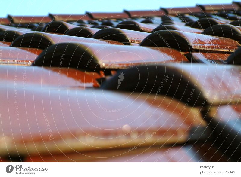 roof tiles Roof Roofing tile Red Architecture