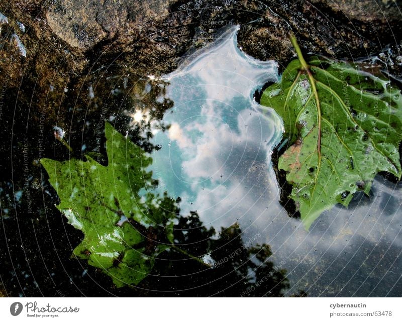 puddle Clouds Puddle Leaf Hope Poetic Future Transience Decline Reflection Rain Weather Water Stone Sky End Beginning Nature