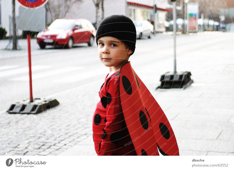 Charlemagne the Beetle :-) Child Ladybird Town Red costume Carnival Street