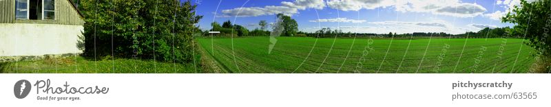 village Grass Field Village Summer Panorama (View) House (Residential Structure) Meadow Clouds Country house Nest Green Grassland Cattle Pasture Sky