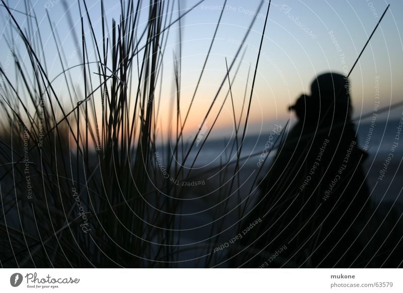 calm in spite of the cold Ocean Sunset Beach Evening sun Netherlands Twilight Woman Boredom Winter Human being Shadow silhuette Sadness