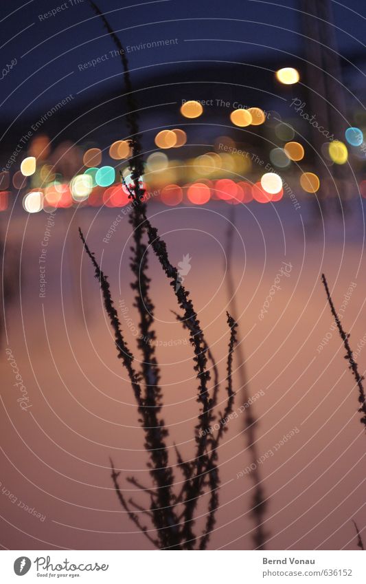 Lights of the small town IV Sky Winter Snow Plant Bushes Blue Multicoloured Violet Black Calm Lamp Street lighting Outskirts Mountain Circular Circle Blur Cold