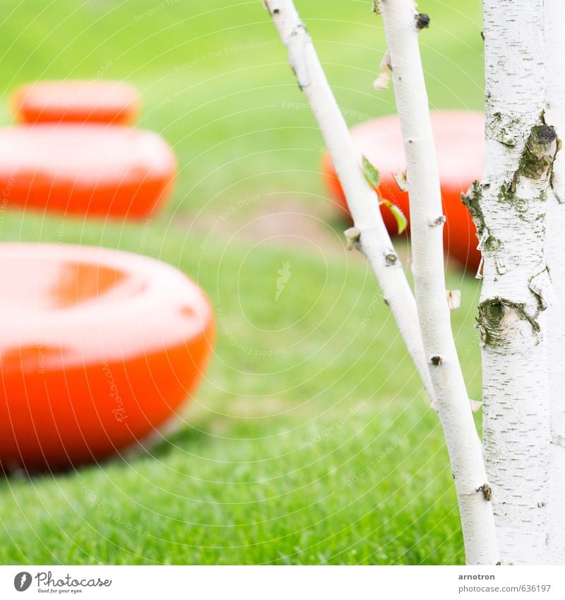 Blood Cells - IGS 2013 Elegant Relaxation Freedom Nature Summer Tree Birch tree Park Meadow Hemoglobin Sit Green Red White Contentment Joie de vivre (Vitality)