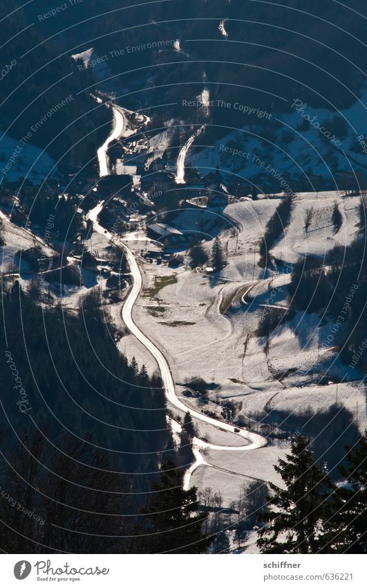 albino worm Environment Nature Landscape Sunlight Beautiful weather Ice Frost Snow Mountain Canyon Valley White Reflection Lighting Back-light valley view