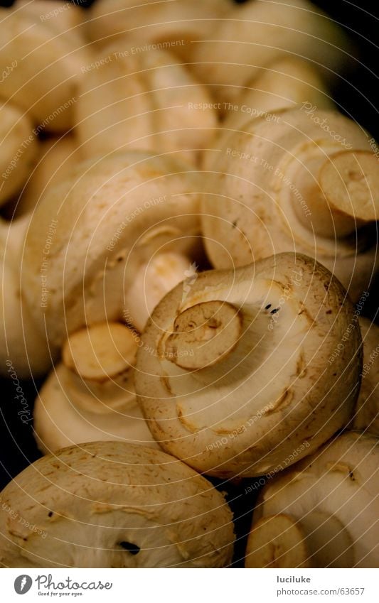 mushrooms Food Button mushroom Mushroom indoor shot without flash