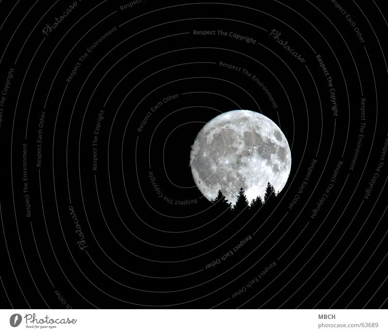 Moon 1 Tree Fir tree Lighting Pattern Volcanic crater Go under Bright