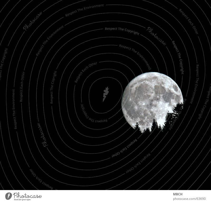 Moon 2 Tree Fir tree Lighting Pattern Volcanic crater Go under Bright