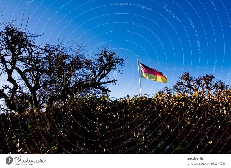 banner Architecture Berlin Garden Garden plot Garden allotments Schöneberg Town City life wallroth Flag Wind Blow Judder German Flag Nationalities and ethnicity