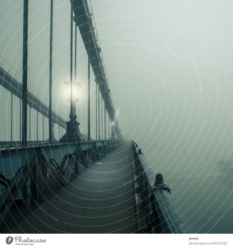 HOME WAY Autumn Bad weather Fog Bridge Lanes & trails Old Infinity Gray Green Black White Calm Grief Death last away Suspension bridge Street lighting