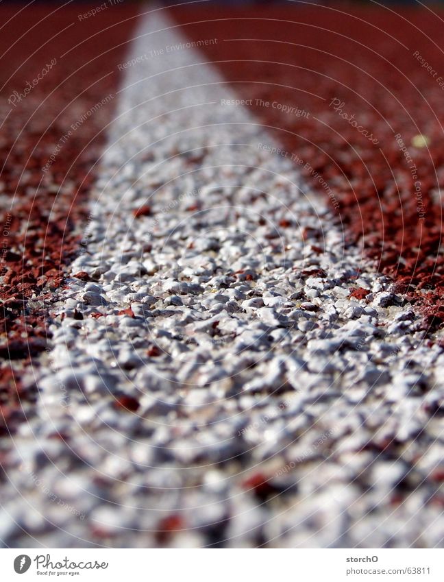 Where do I walk? Thuringia Gotha Red White Top Hundred-metre sprint Relay race Long jump Sports meet Summer Free Walking Railroad Curve