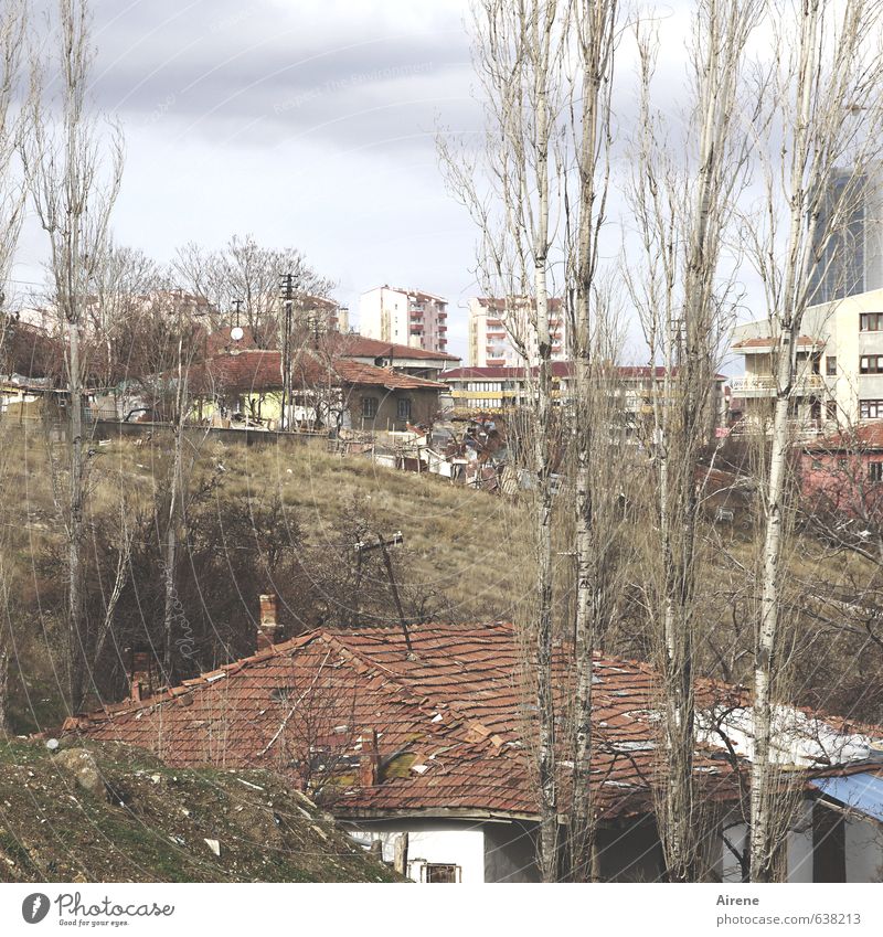 hillside location Plant Tree Poplar Ankara Turkey Anatolia Town Capital city Outskirts Deserted House (Residential Structure) Detached house block of flats