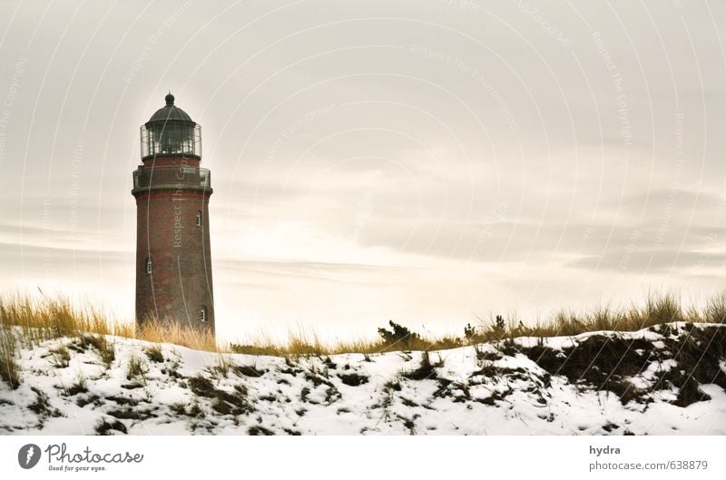 Lighthouse Darßer Ort Relaxation Vacation & Travel Landscape Sky Winter Beautiful weather Snow Grass Marram grass Coast Beach Baltic Sea Ocean Dune Sandy beach