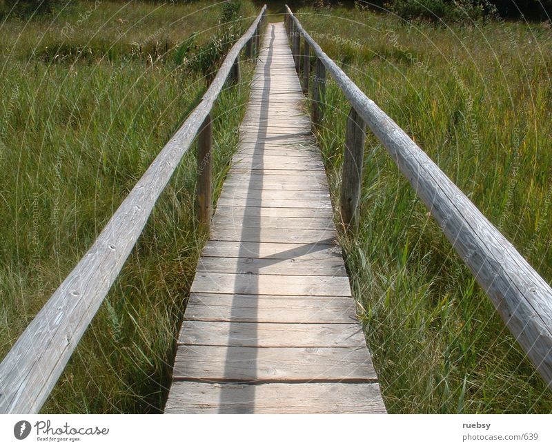 The way is the goal Wood Meadow Things Lanes & trails Bridge Nature