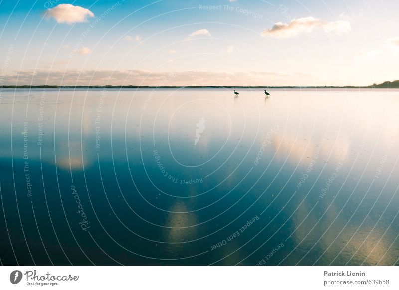 Running on water Senses Relaxation Calm Meditation Environment Nature Landscape Elements Water Sky Clouds Sunlight Climate Weather Beautiful weather Ice Frost