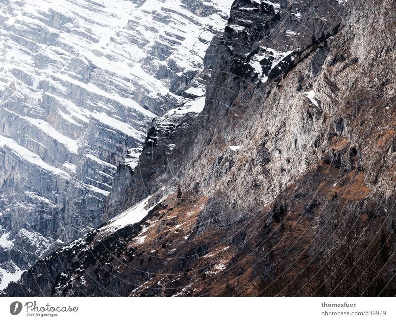 mercilessly Expedition Winter Snow Mountain Nature Landscape Ice Frost Moss Rock Alps Snowcapped peak Canyon Threat Dark Sharp-edged Fantastic Gigantic