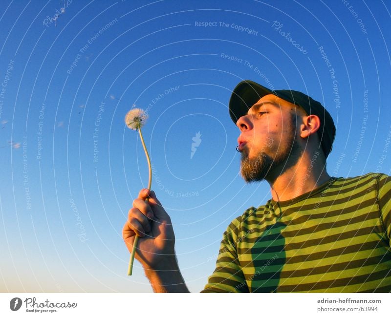 dandelion Man Fellow Blow Flower Dandelion Baseball cap Cap Facial hair Piercing Stripe Green Summer Leisure and hobbies Relaxation Guy liontooth umbrella