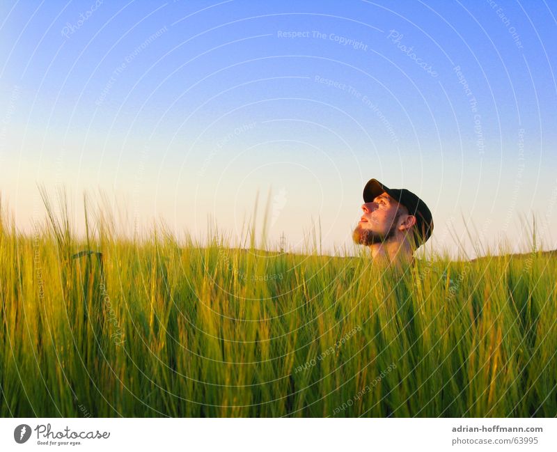 Up to the neck Man Fellow Silhouette Facial hair Piercing Cap Baseball cap Field Meadow Green Summer Spring Longing Loneliness Guy Profile Neck Head Sky Blue