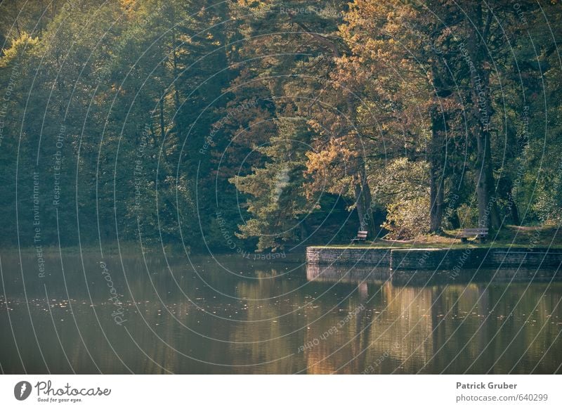 Autumn atmosphere at Lake Ebnisee Nature Landscape Water Tree Lakeside Village Autumnal Colour photo Exterior shot Deserted Copy Space bottom Day