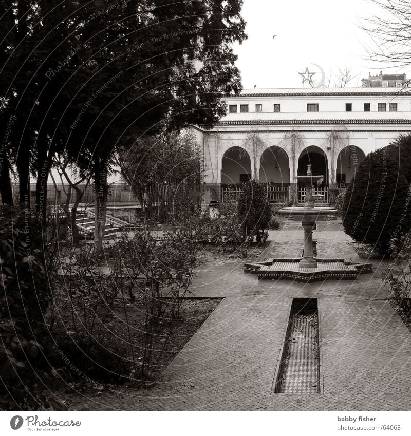 paris religion 4 Paris France Mosque Well Religion and faith Garden Black & white photo