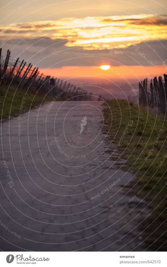 The way to the sun Vacation & Travel Trip Mountain Hiking Nature Landscape Sky Sun Weather Beautiful weather Agricultural crop Hill Transport Street