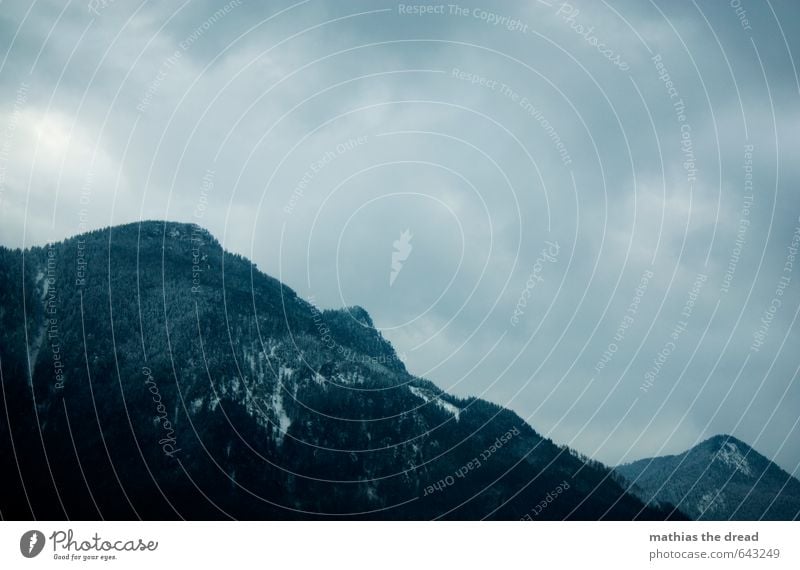 THE MOUNTAIN II Environment Nature Landscape Plant Clouds Horizon Winter Bad weather Fog Ice Frost Snow Tree Forest Alps Mountain Peak Snowcapped peak Old