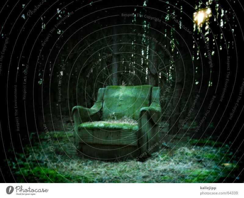 quiet place... Armchair Bolster Forest Green Dark Loneliness Calm Clearing Brandenburg Leaf Fir tree Light Matrix Creepy Fairy tale Mystic Chair Sit Nature