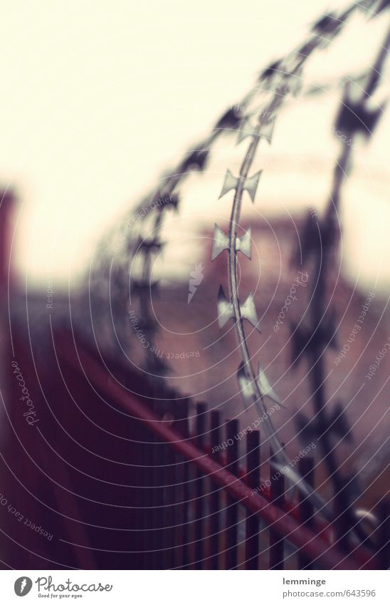 wiredrawer Industrial plant Brown Silver Fence Barbed wire Barbed wire fence Mine Industry Dortmund Colour photo Subdued colour Exterior shot Deserted Day Blur