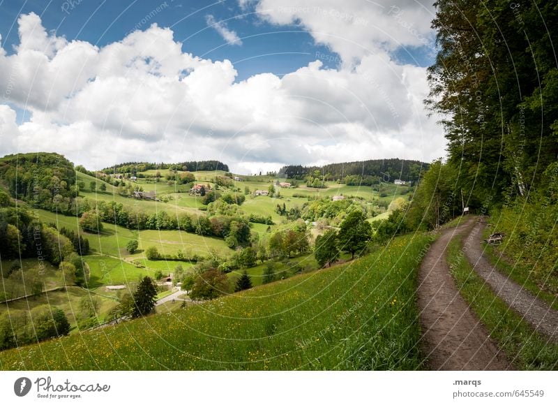 hinterland Tourism Trip Nature Landscape Sky Clouds Summer Beautiful weather Tree Meadow Forest Hill Lanes & trails Relaxation Simple Natural Moody Freedom