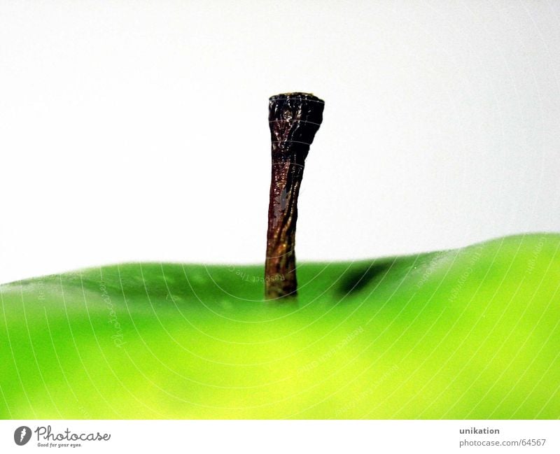 Apple in poison green Stalk Green Yellow Vitamin Healthy Poison Abstract Near Geometry Fruit Macro (Extreme close-up) Line